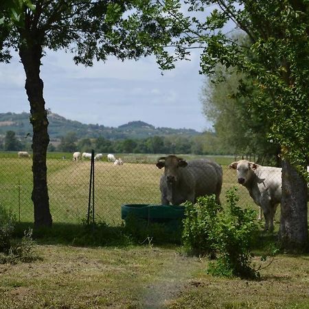 Gite A La Ferme De La Bouriette Revel  Extérieur photo