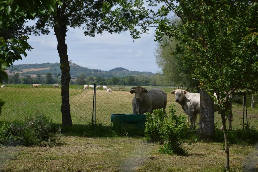 Gite A La Ferme De La Bouriette Revel  Extérieur photo